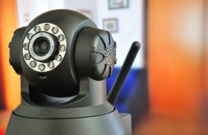 Webcam um den Hund zu beobachten