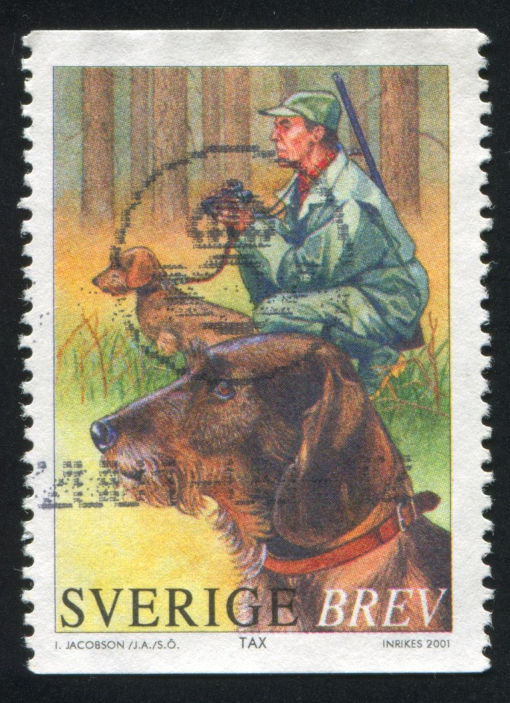 Jagddackel auf einer Briefmarke