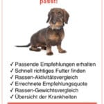 Futter Dackel