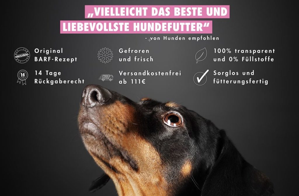 Vielleicht das beste BARF-Futter für Dackel!