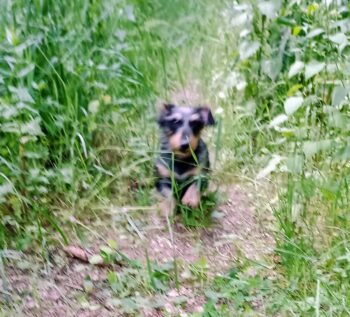 Miniaturansicht für das Anzeigenbild