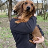 🍀RESERVIERT🍀Wer hat ein Herz für Barnabas? ❤️