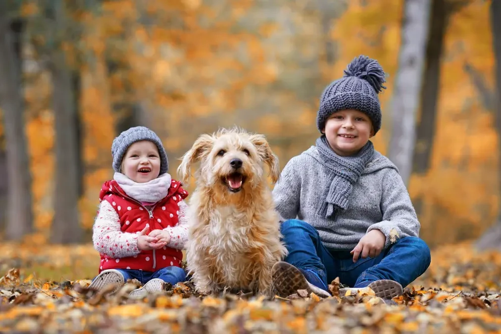 DogWeb - Hunde machen glücklich! Zwei Kinder sitzen mit einem Mischlingshund im Wald.