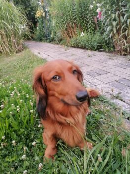 Max