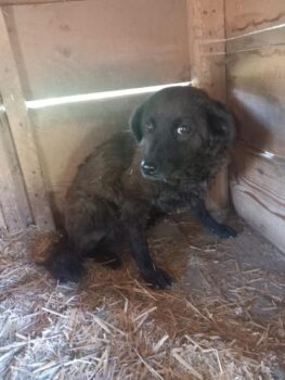 Miniaturansicht für das Anzeigenbild