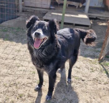 Bonbon & Madeleine - Dreamteam sucht Traumzuhause!