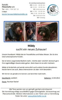 Hunde Omi Mädy sucht ihr Traumzuhause