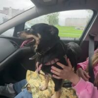 ⚠️Zuhause gesucht für BENNI⚠️5 Jahre - 35 cm - mit vielen VIDEOS!!!