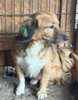 Miniaturansicht für das Anzeigenbild