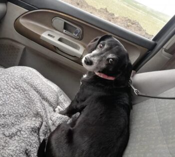 Miniaturansicht für das Anzeigenbild