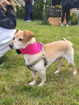 Miniaturansicht für das Anzeigenbild