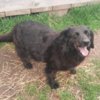 KASANDRA - einfach nur sehr lieb und sehr freundlich!