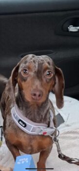 Miniaturansicht für das Anzeigenbild