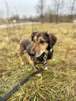 Miniaturansicht für das Anzeigenbild