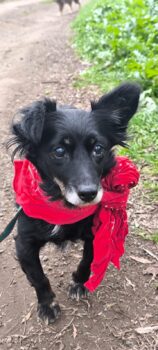 Miniaturansicht für das Anzeigenbild