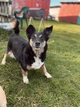 Miniaturansicht für das Anzeigenbild