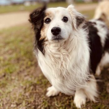 Miniaturansicht für das Anzeigenbild
