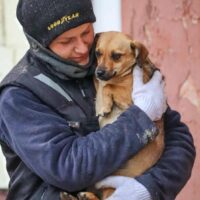 Ote: Weibchen • geb.ca. 2021-2023 • 28cm • 7kg