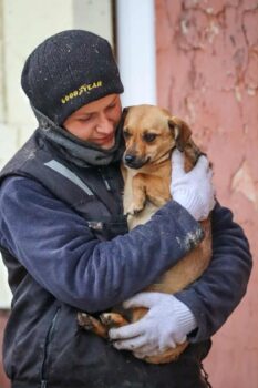 Ote: Weibchen • geb.ca. 2021-2023 • 28cm • 7kg