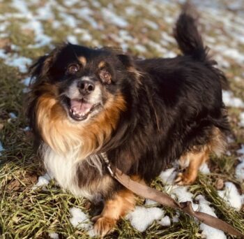 Miniaturansicht für das Anzeigenbild