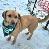 THEO: ein Freund fürs Leben (5 Jahre; 35 cm SH)