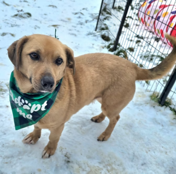 THEO: ein Freund fürs Leben (5 Jahre; 35 cm SH)