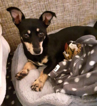 Tonkitu - liebenswertes, offenes, lustiges Mädel