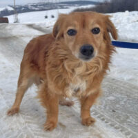 Yrsa 32cm geb. 03/2018 ist eine kleine Zaubermaus