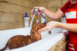 Miniature red poodle at grooming salon having bath. 